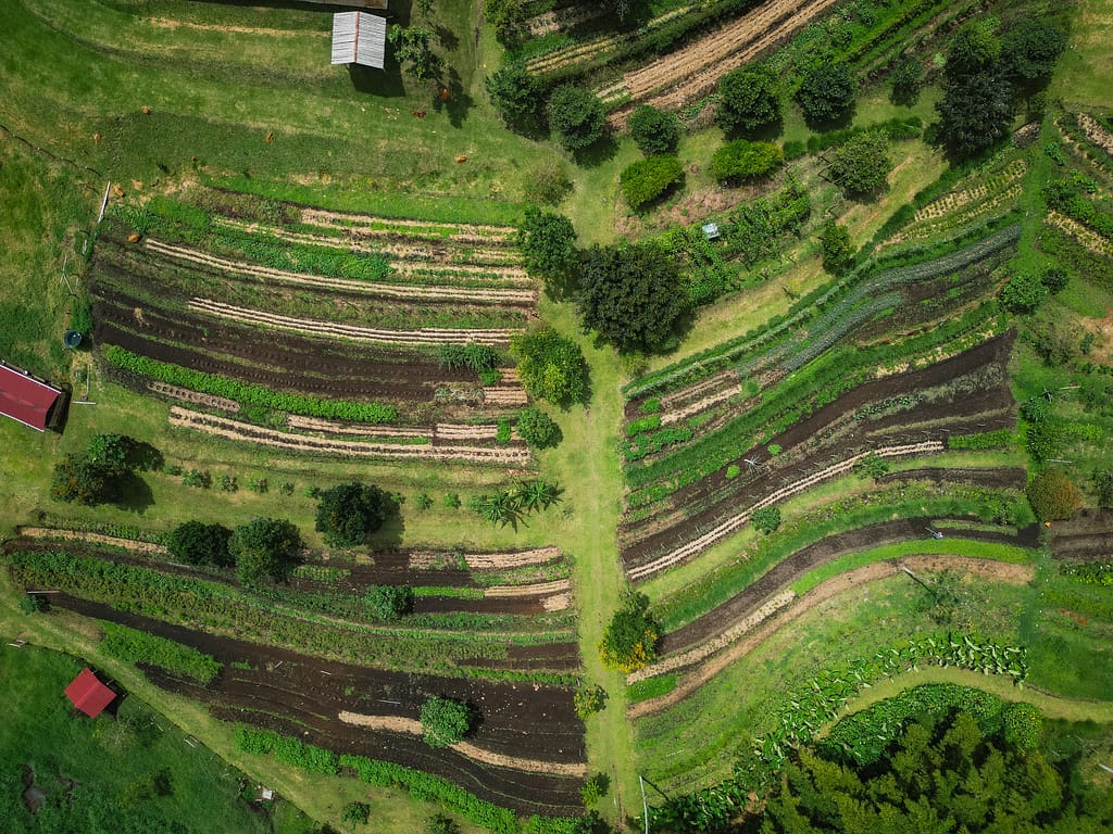 salones de eventos en Cali